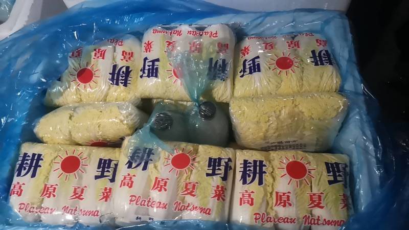 【源头直采】甘肃大娃娃菜新鲜上市一手货源可视频看货