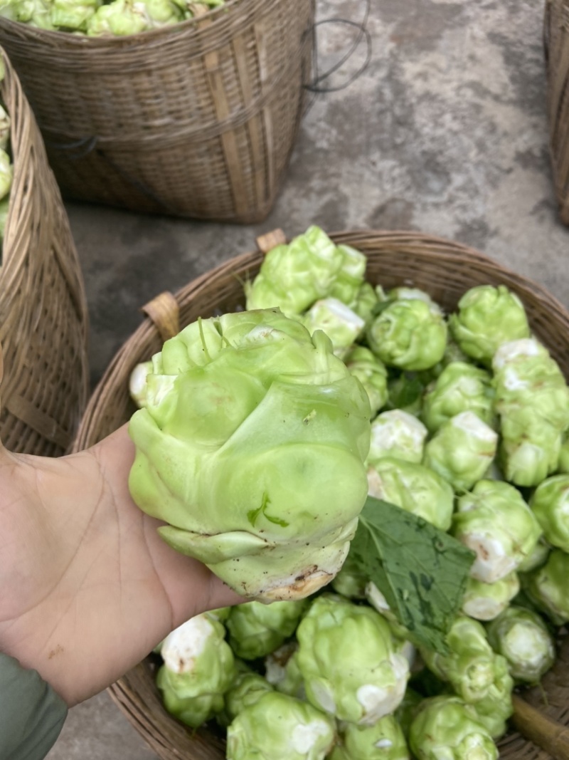 鲜榨菜大量上市中支持各种包装电商货市场货工厂货