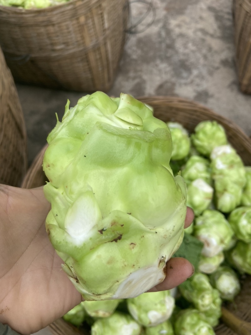 鲜榨菜大量上市中支持各种包装电商货市场货工厂货