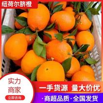 【推荐】广西纽荷尔脐橙，甜蜜多汁，一手货源，量大从优