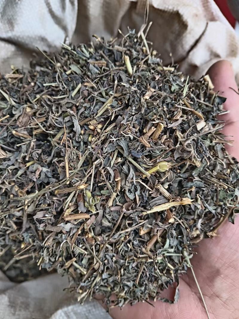 透骨草