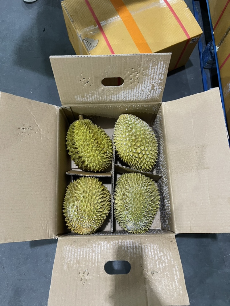 液氮金枕榴莲金枕巴掌电商供货液氮青尼液氮托曼尼都有现货