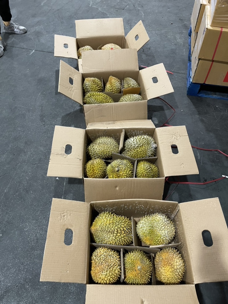 液氮金枕榴莲金枕巴掌电商供货液氮青尼液氮托曼尼都有现货