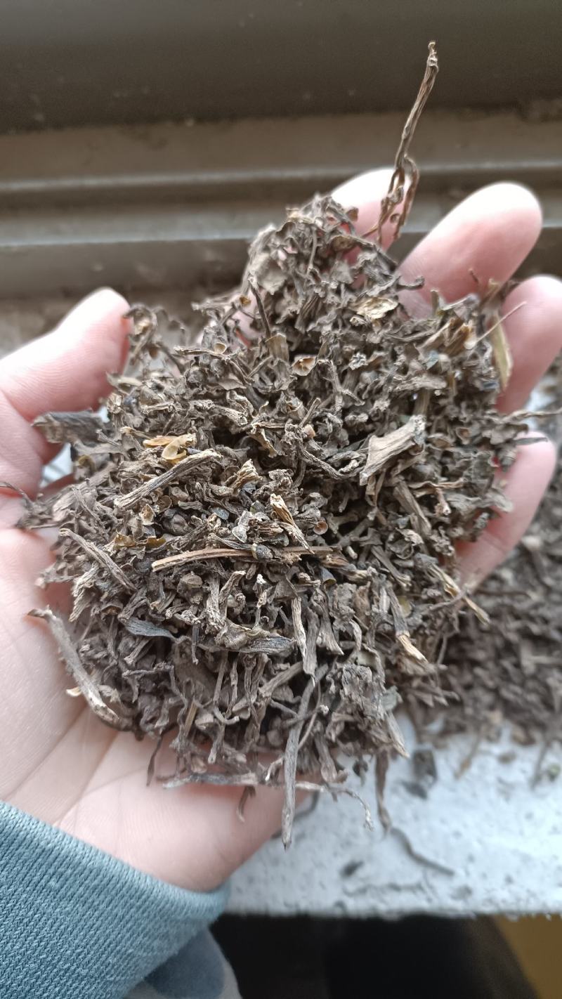 无硫生晒马齿笕，过筛无杂质，量大从优，欢迎选购