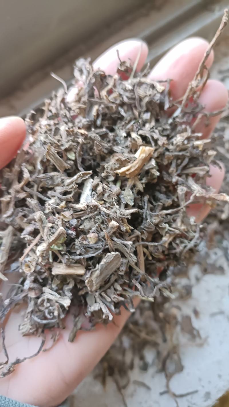 无硫生晒马齿笕，过筛无杂质，量大从优，欢迎选购