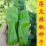 超大薄皮王辣椒种子新品种大果高产四季泡椒种子早熟杂交青椒