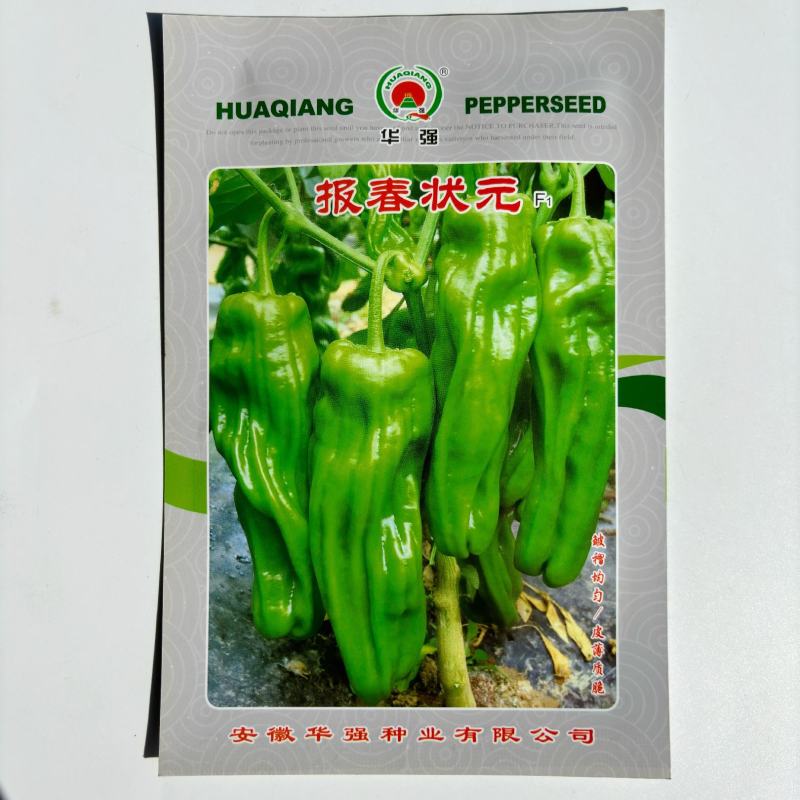 超大薄皮王辣椒种子新品种大果高产四季泡椒种子早熟杂交青椒