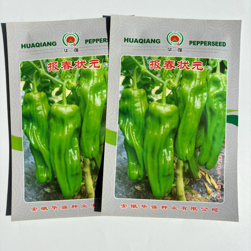超大薄皮王辣椒种子新品种大果高产四季泡椒种子早熟杂交青椒