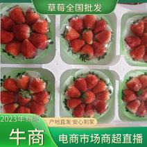 小草莓，价格偏宜，天仙醉奶油草莓，产地发货，代收