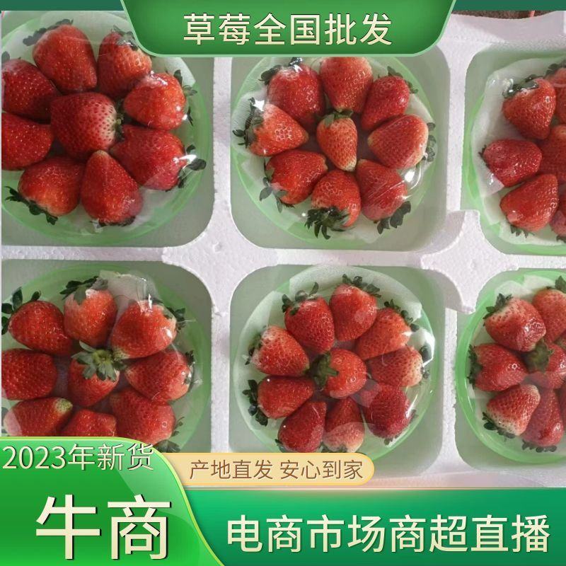 小草莓，价格偏宜，天仙醉奶油草莓，产地发货，代收代发