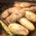 【土豆热销】荷兰十五土豆山东精品直发对接市场商超量大从优电联