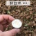 新鲜白术现挖白术鲜货