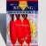正品春红一号水萝卜种子春季萝卜种籽耐抽苔耐糠有甜味无辣味