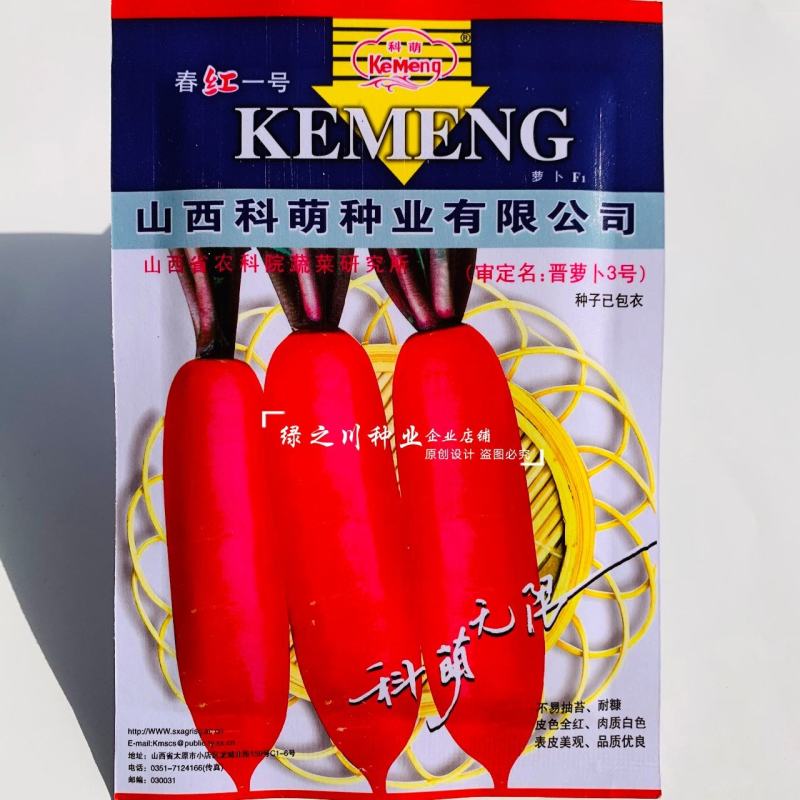 正品春红一号水萝卜种子春季萝卜种籽耐抽苔耐糠有甜味无辣味