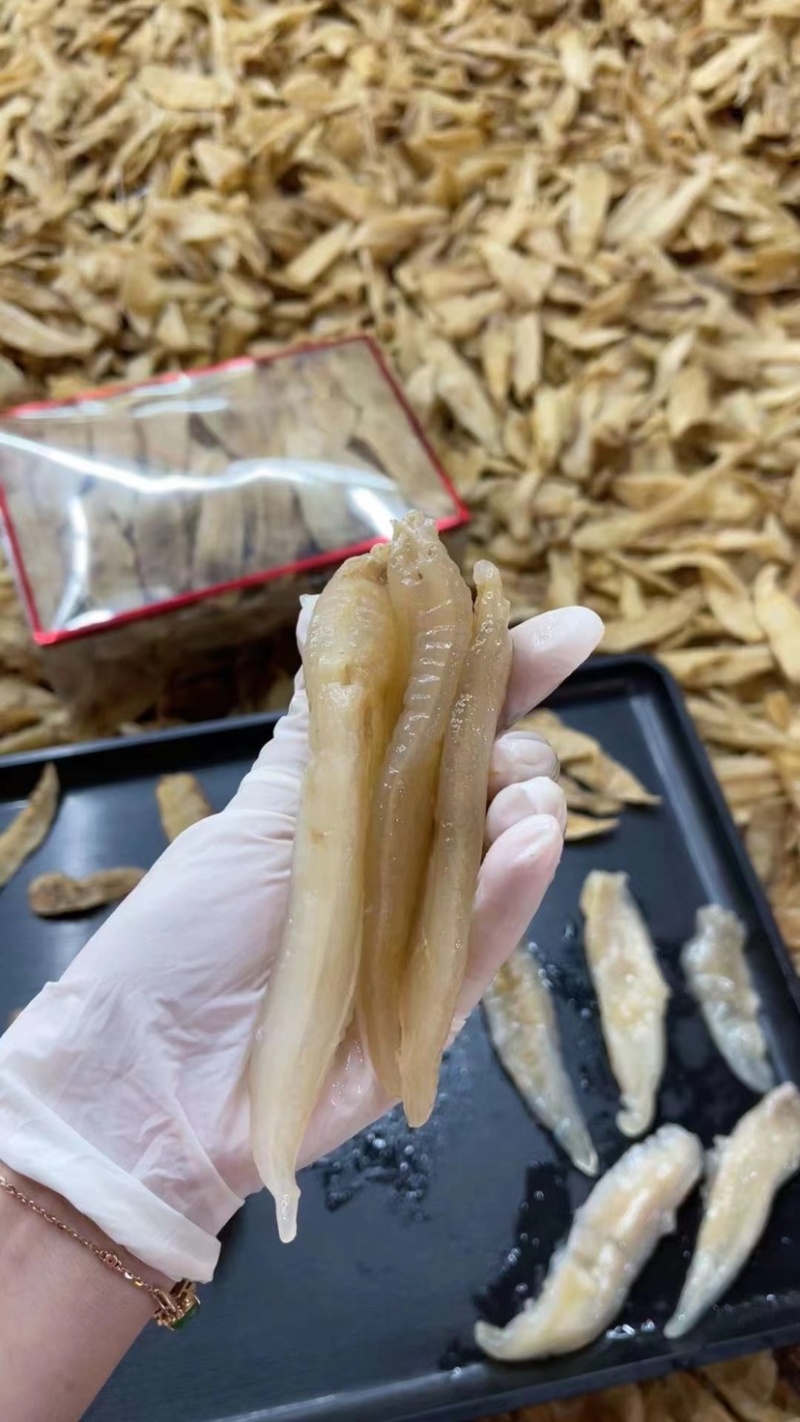 小金龙胶批发海味干货鱼胶花胶南美金龙胶渔民自晒一手货源