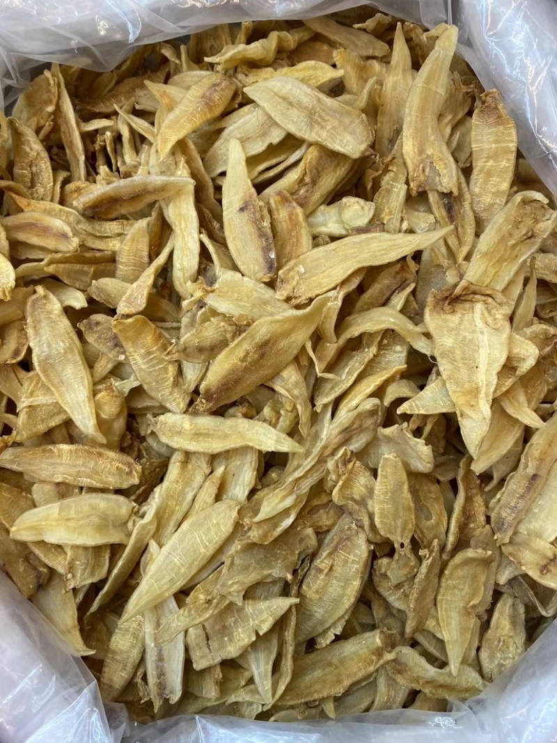 小金龙胶批发海味干货鱼胶花胶南美金龙胶渔民自晒一手货源