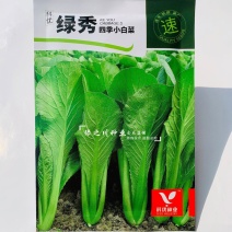 绿秀四季小白菜种子速生快菜种子无茸毛青菜高产抗病四季蔬菜