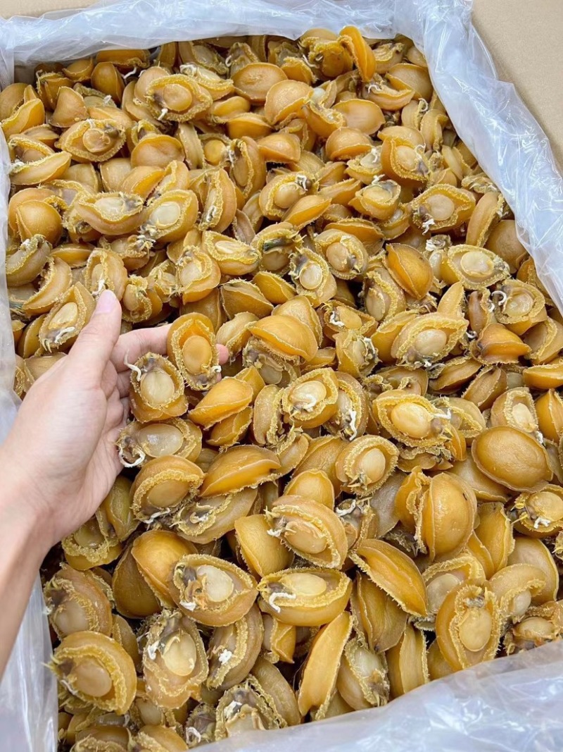 鲍鱼干大连鲍鱼精品淡干小鲍鱼色泽金黄个头饱满批发一手货源