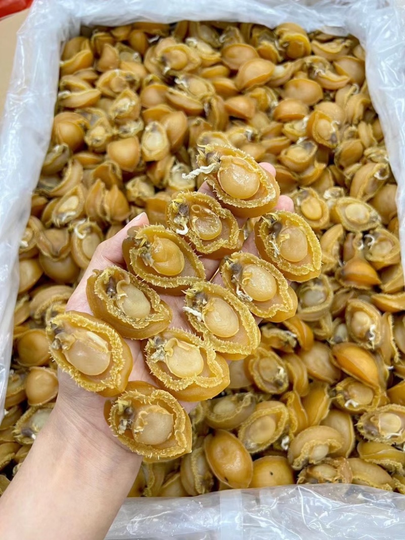 鲍鱼干大连鲍鱼精品淡干小鲍鱼色泽金黄个头饱满批发一手货源