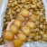 鲍鱼干大连鲍鱼精品淡干小鲍鱼色泽金黄个头饱满批发一手货源