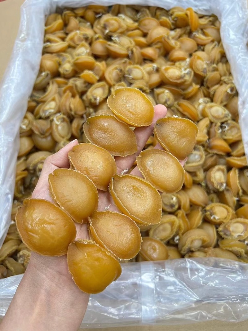 鲍鱼干大连鲍鱼精品淡干小鲍鱼色泽金黄个头饱满批发一手货源