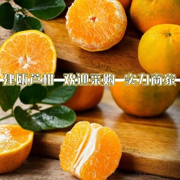 芦柑福建芦柑永春芦柑农户直定，产地直发价格便宜