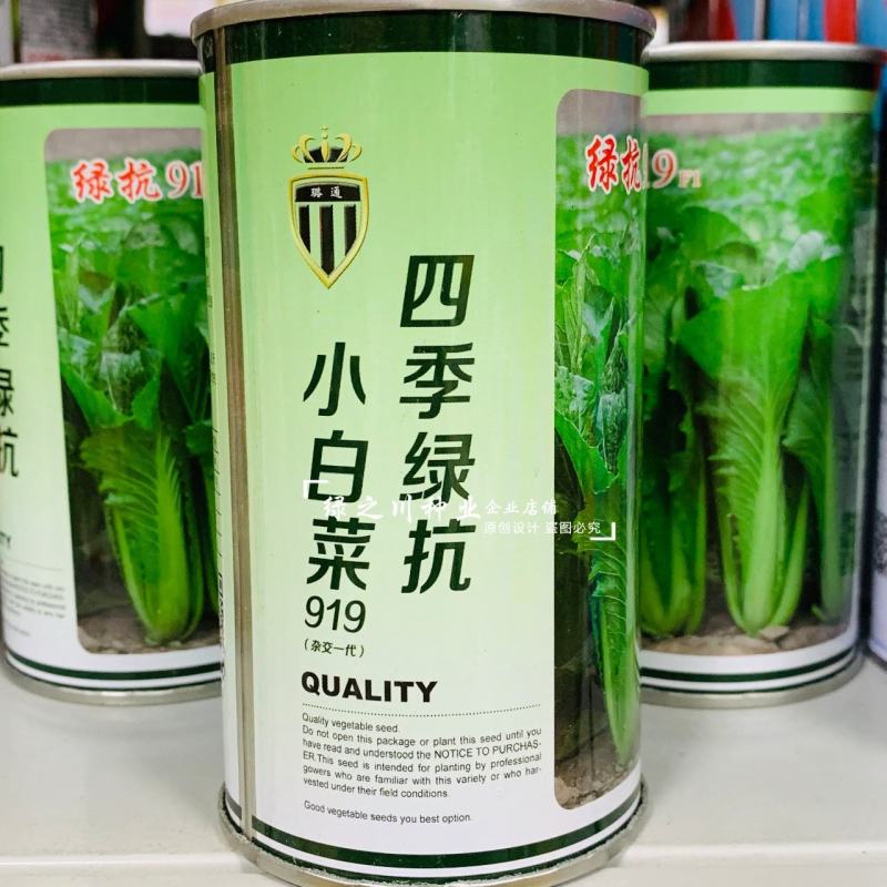 四季绿抗小白菜种子生长速度快绿叶小白菜种子快菜种籽