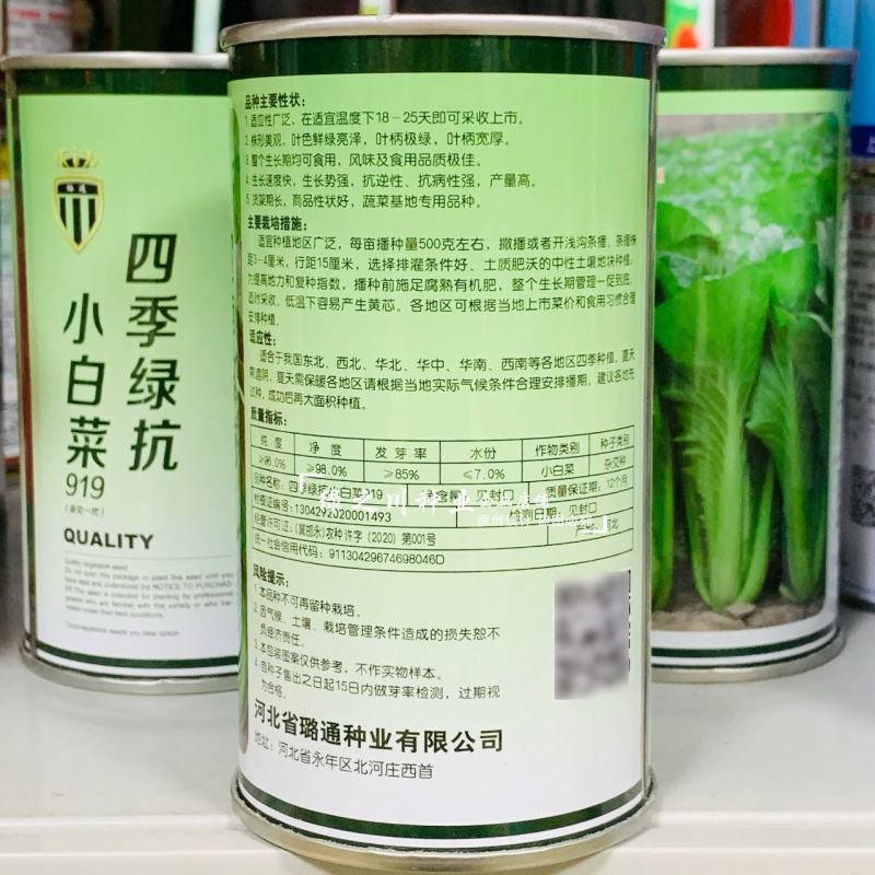 四季绿抗小白菜种子生长速度快绿叶小白菜种子快菜种籽