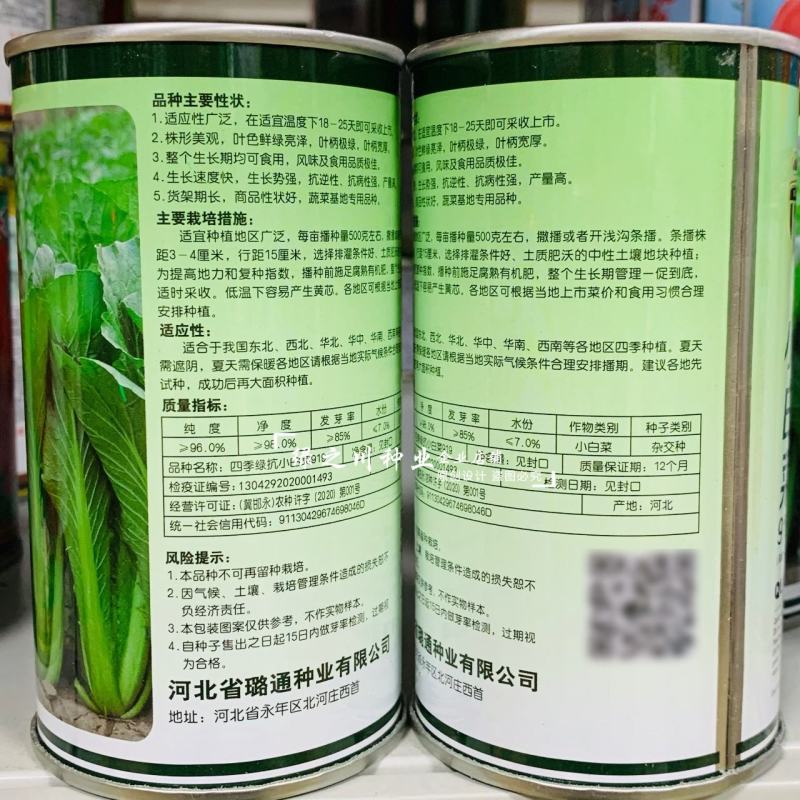 四季绿抗小白菜种子生长速度快绿叶小白菜种子快菜种籽