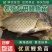 大鲤鱼苗正宗红尾鲤鱼苗黑鲤鱼淡水养殖可食用建鲤稻田鲤鱼苗