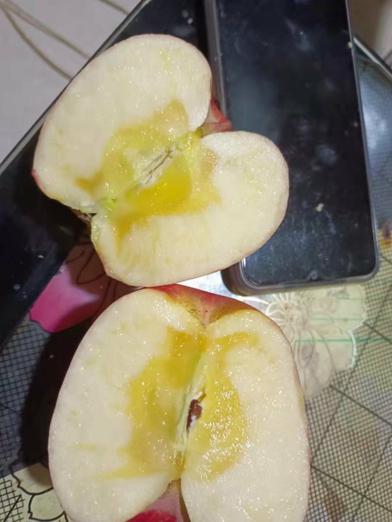 紧急大量供应山西万荣，临猗坡上优质冰糖心红富士苹果