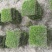 广州草皮、台湾草皮、绿化草皮