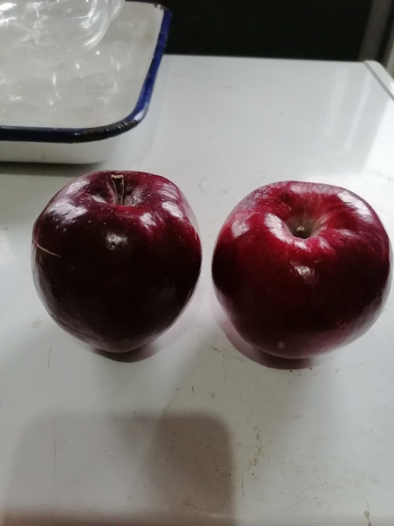 红肉苹果，产地中国辽宁丹东。花青素苹果，里外全红。