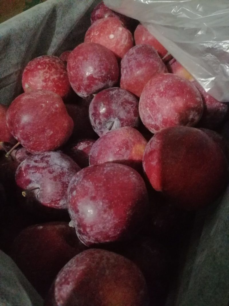 红肉苹果，产地中国辽宁丹东。花青素苹果，里外全红。
