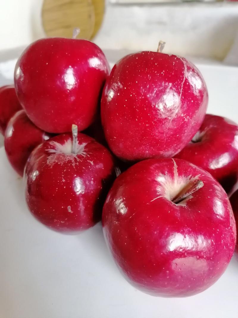 红肉苹果，产地中国辽宁丹东。花青素苹果，里外全红。