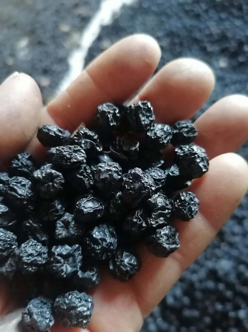 优质黑果腺肋花楸干果产地辽宁丹东，批发零售量大优惠