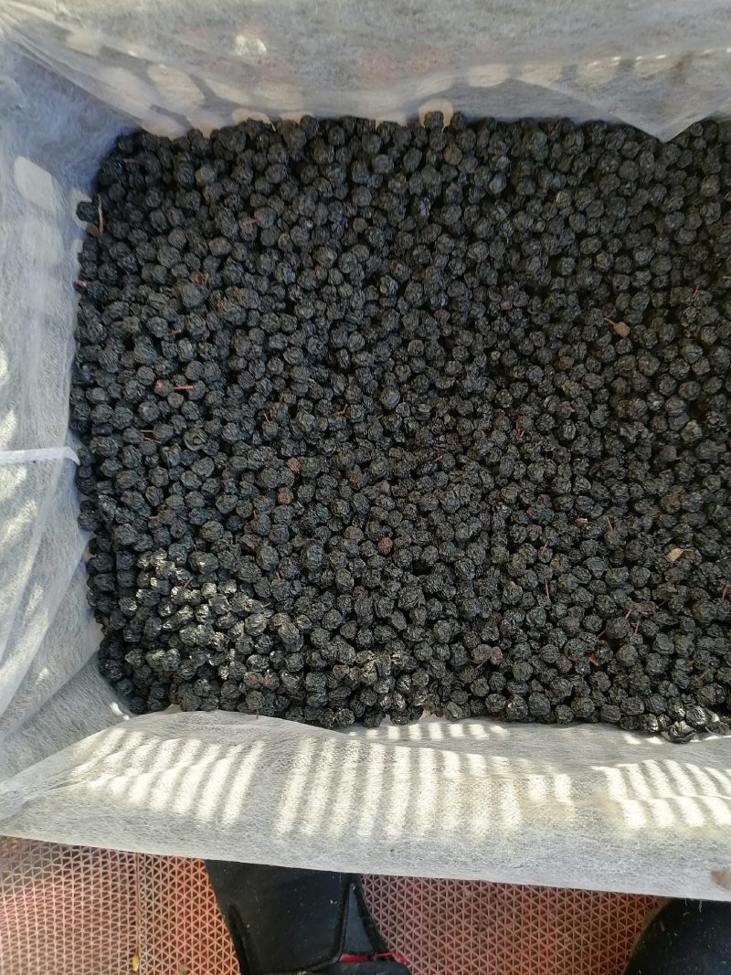 优质黑果腺肋花楸干果产地辽宁丹东，批发零售量大优惠