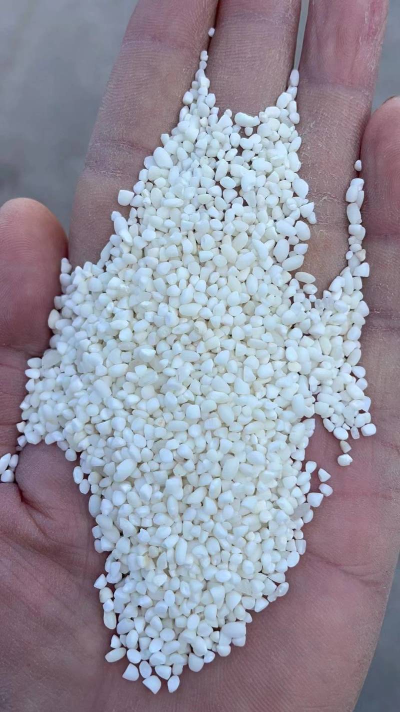 23年硬糯米碎（酒米碎）
