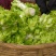四川儿菜鲜嫩崽崽菜孢子芥角儿菜先砍现发娃娃菜南充菜一手源