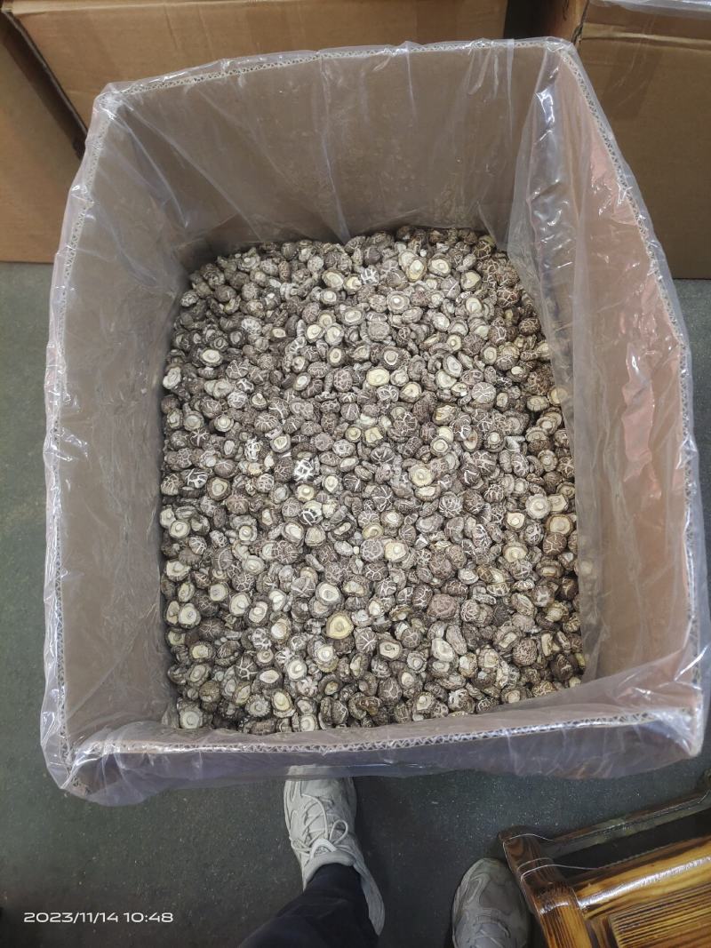 茶花香菇茶花花菇精选茶花菇产地直销