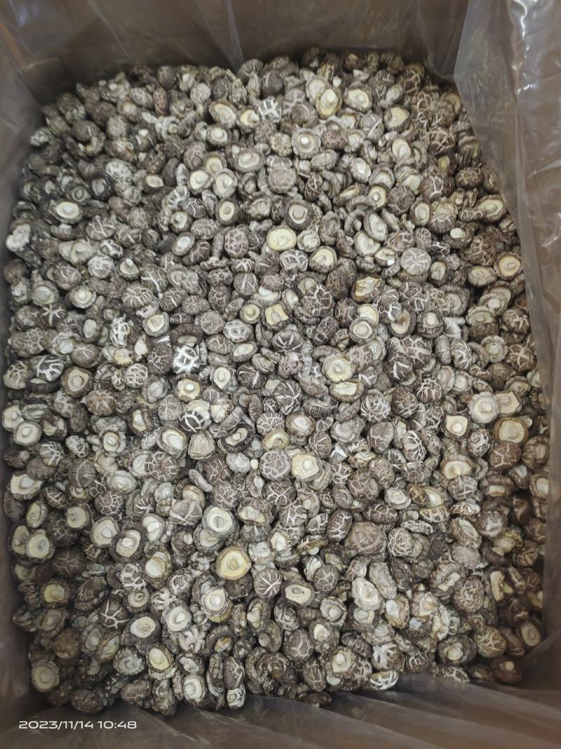 茶花香菇茶花花菇精选茶花菇产地直销
