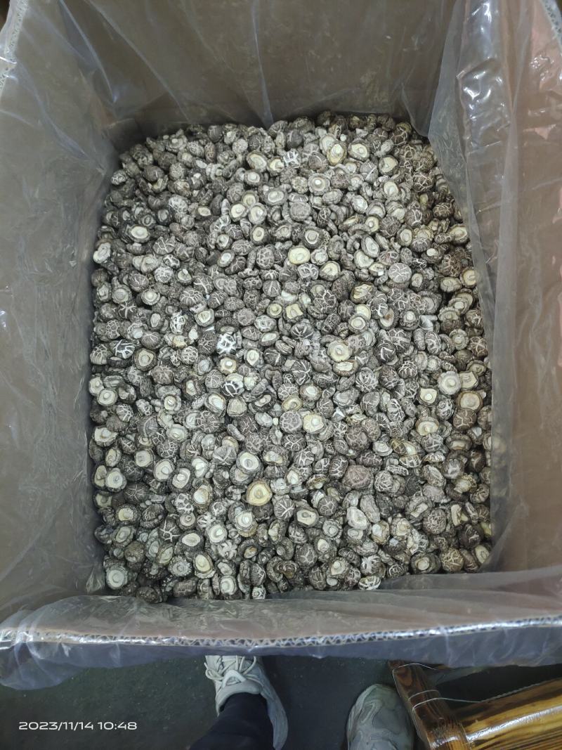 茶花香菇茶花花菇精选茶花菇产地直销