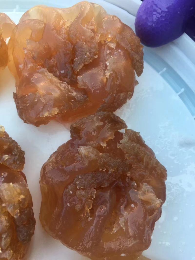 印尼蜇头货源充足，欢迎电商微商团购