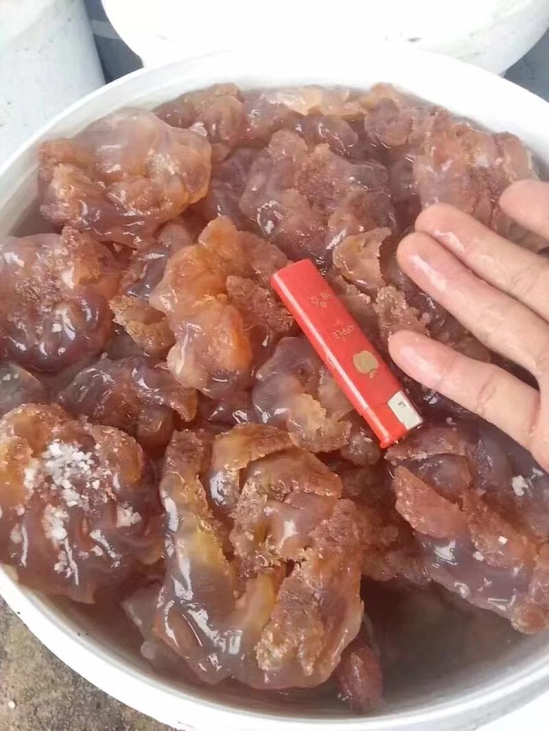 印尼蜇头货源充足，欢迎电商微商团购