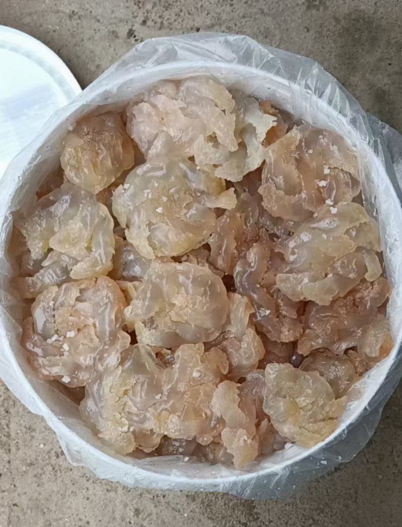 印尼蜇头货源充足，欢迎电商微商团购