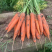 红萝卜🥕甘甜爽口