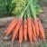 红萝卜🥕甘甜爽口