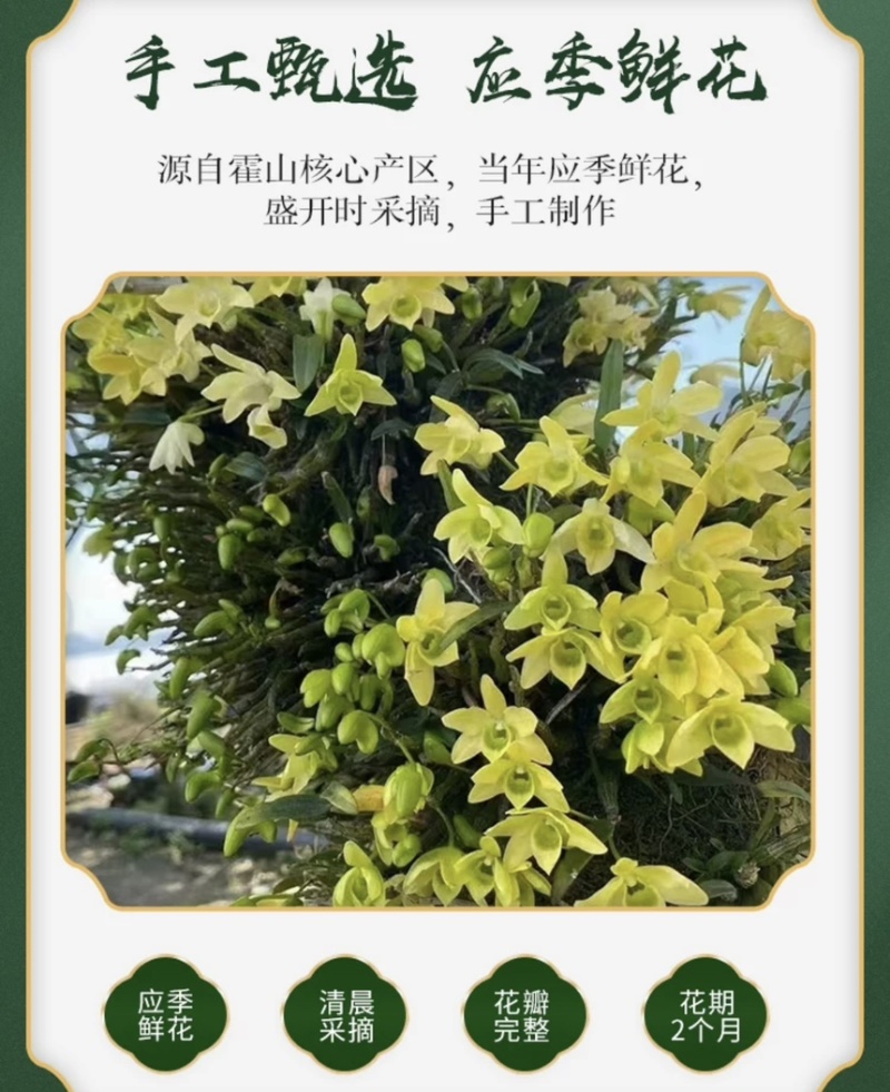 精品铁皮石斛花