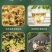 精品铁皮石斛花