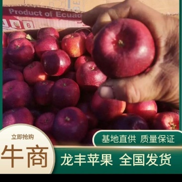 龙丰果